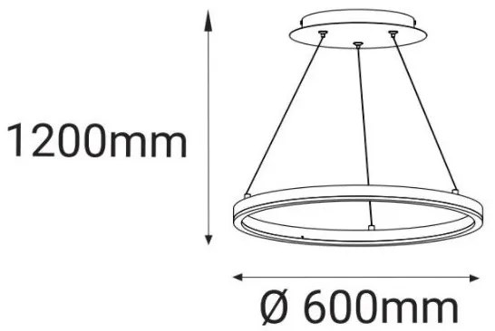 LED2 - LED Csillár zsinóron CIRCLE LED/42W/230V