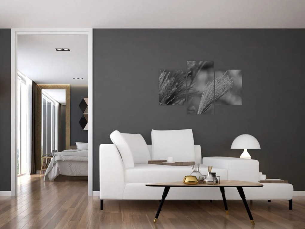 Kép - Szárított pampafű (90x60 cm)