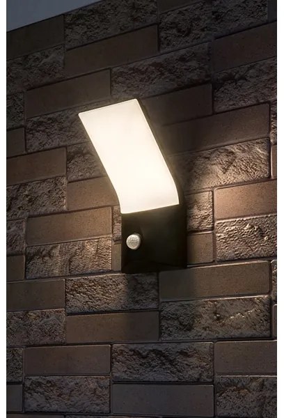 Rabalux 77172-LED TOLNA kültéri fali lámpa szenzorral LED/10W/230V IP54