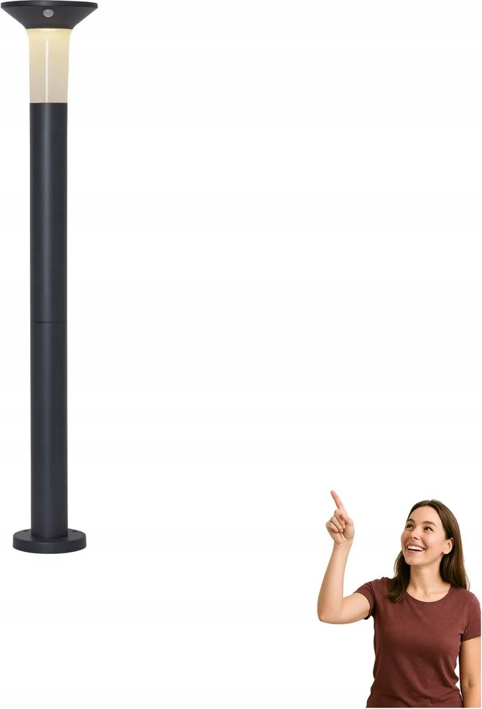 Kültéri lámpa Led kerti oszlop 6x0,03W napelemes Corbezzola 900244 Eglo