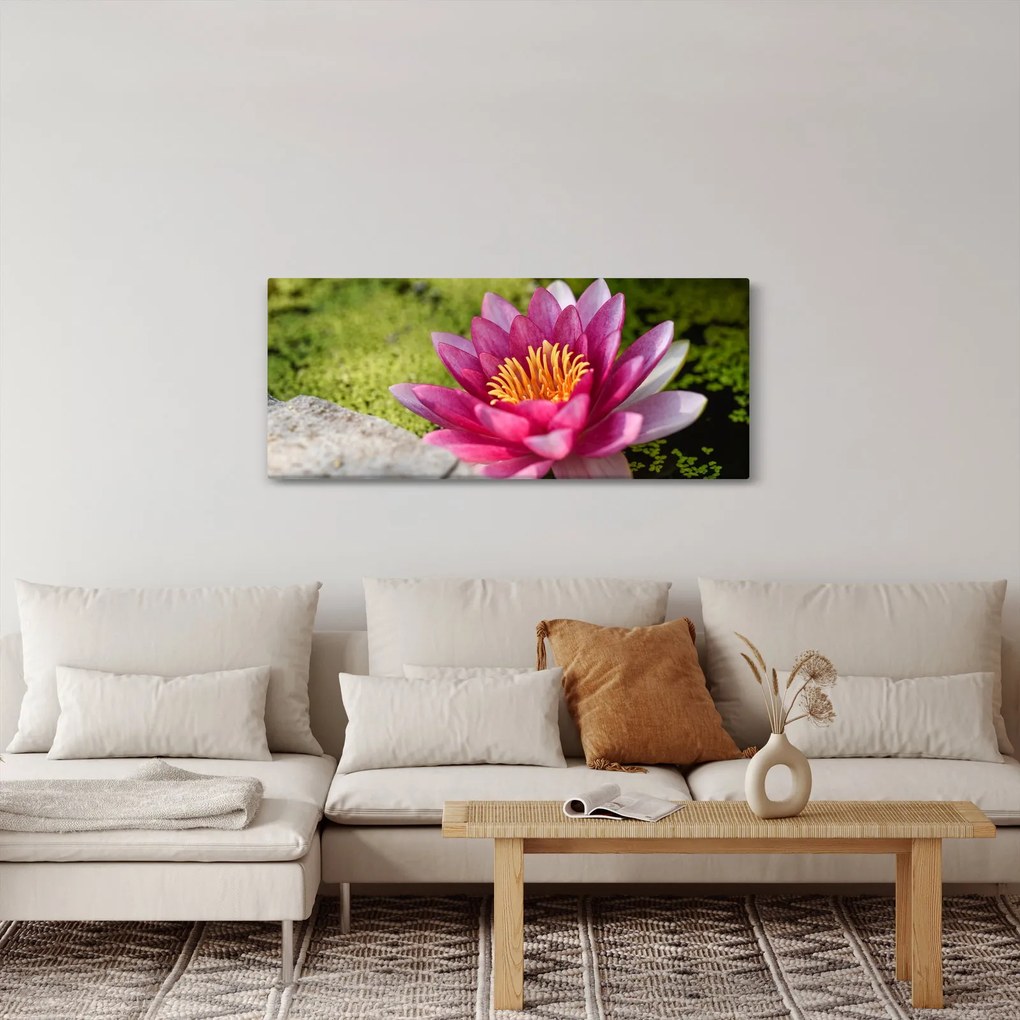 Kép - Tavirózsa (120x50 cm)