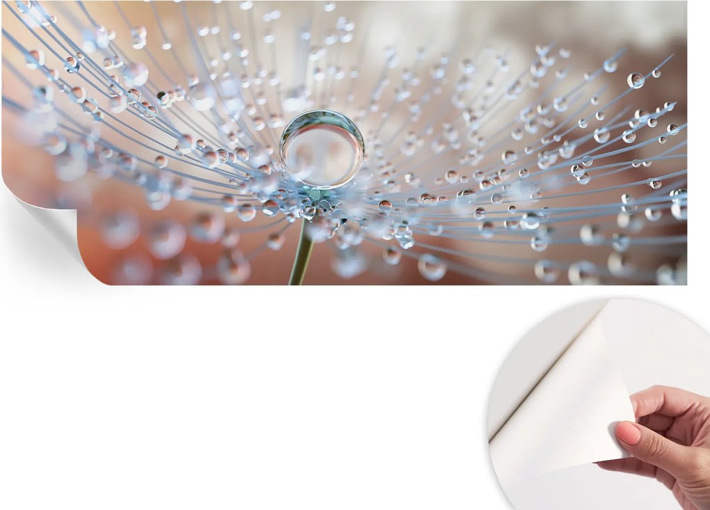 Öntapadós tapéta Fali furnér 3D Csepp a pitypangon 250x104 cm