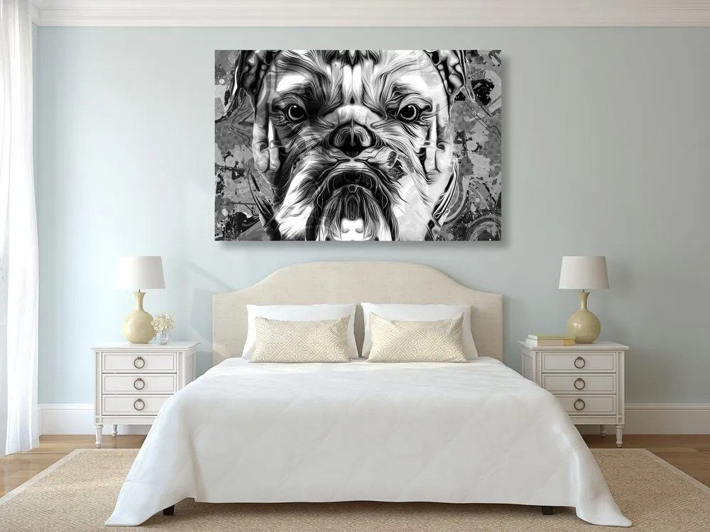 Kép francia bulldog fekete fehérben