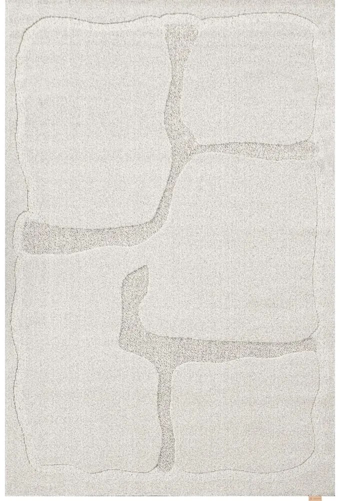 Világosszürke gyapjú szőnyeg 160x230 cm Morphic Organica – Agnella