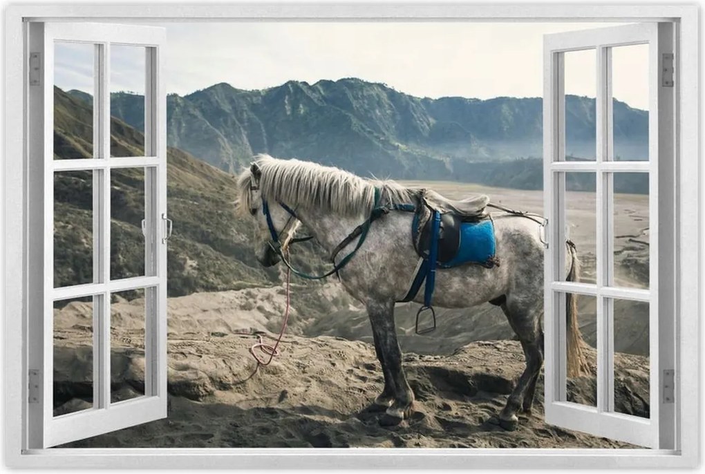 Poszterek 120x80 Ló expedíció a hegyekbe