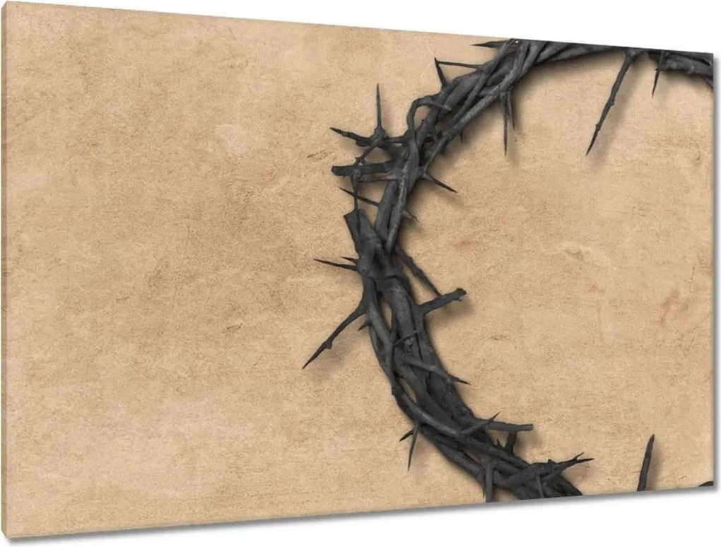 Festmények 120x80 Töviskorona Tövisek