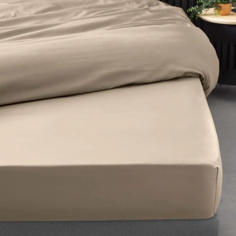 Világosbarna gumis pamut-perkál lepedő 180x200 cm Percaline – douceur d'intérieur
