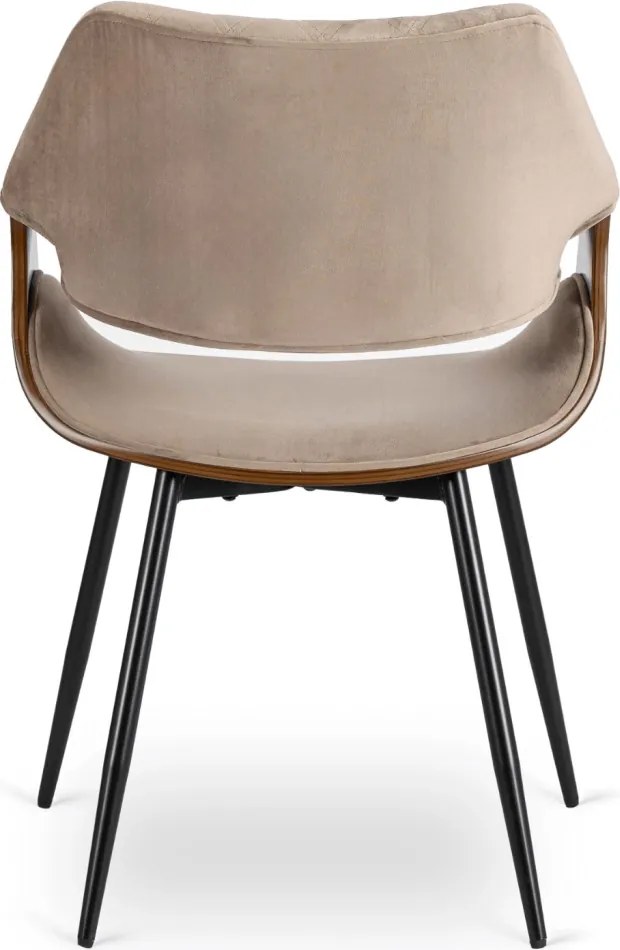 DAKOTA bársony szék bézs / dió színben
