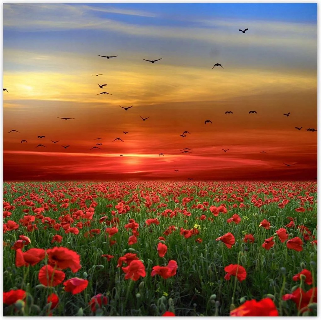 Poszterek 100x100 Tájkép Látvány