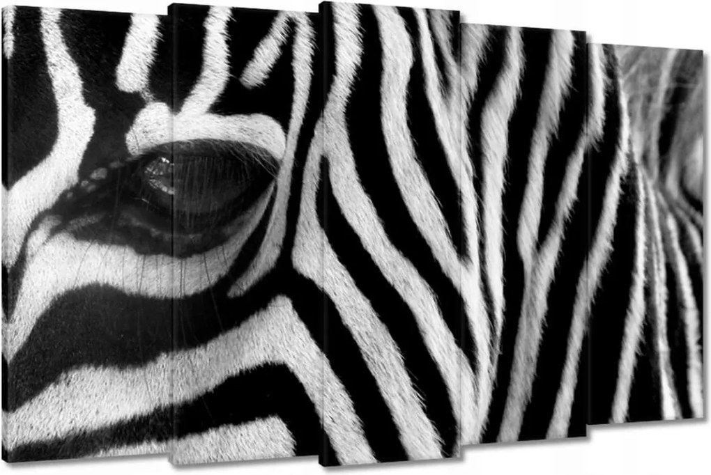 Vászonkép 150x95 Fekete-fehér csíkos Zebra