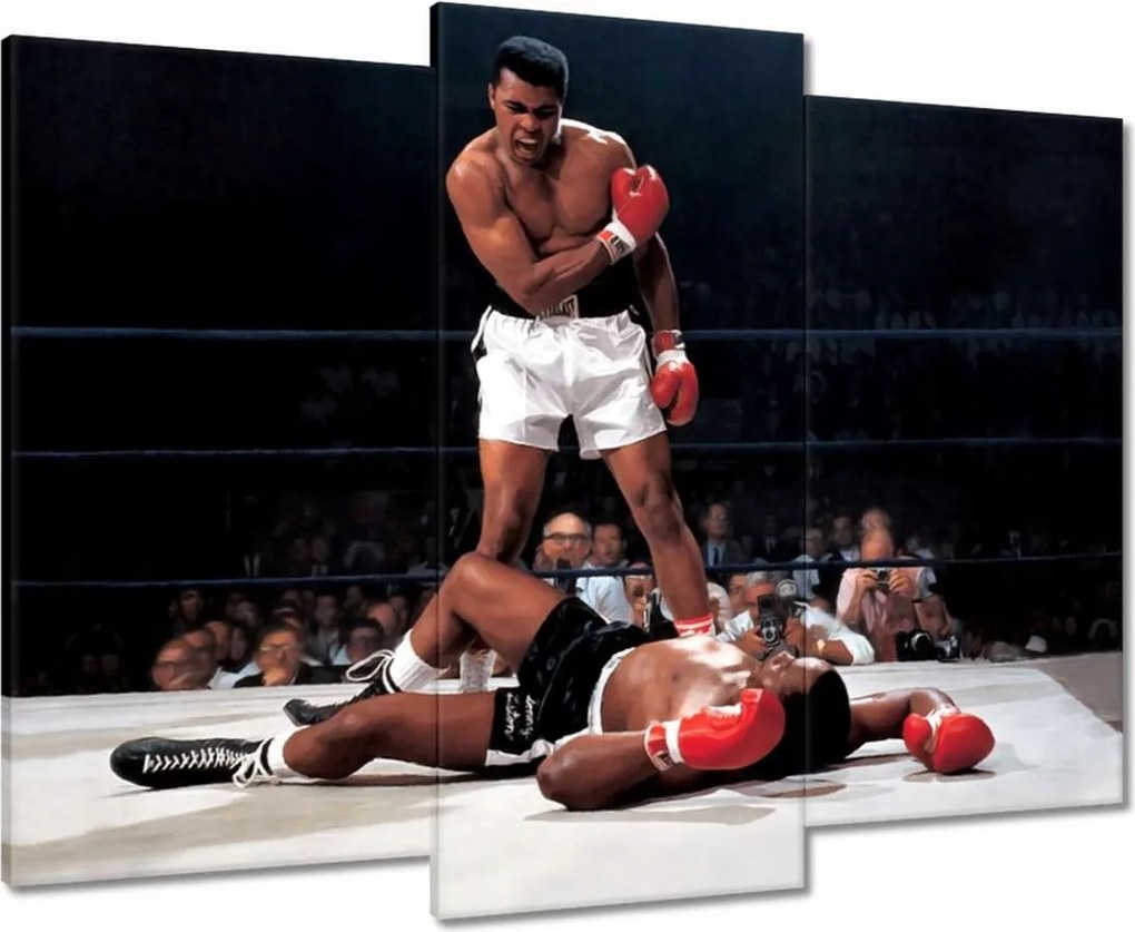 Vászonkép 90x70 Muhammad Ali Boxer