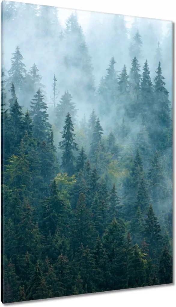 Vászonkép 80x120 Erdő a ködben Utazás