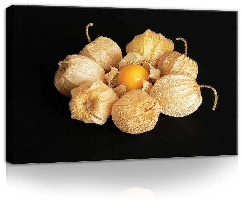 Lampionvirág, vászonkép, 60x40 cm méretben