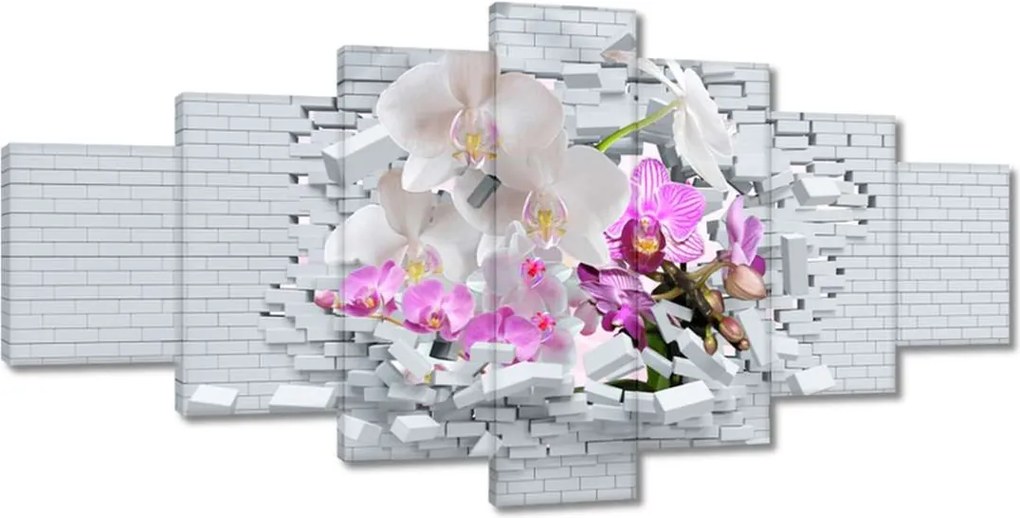 Festmények 210x100 Orchidea a falon Virágok