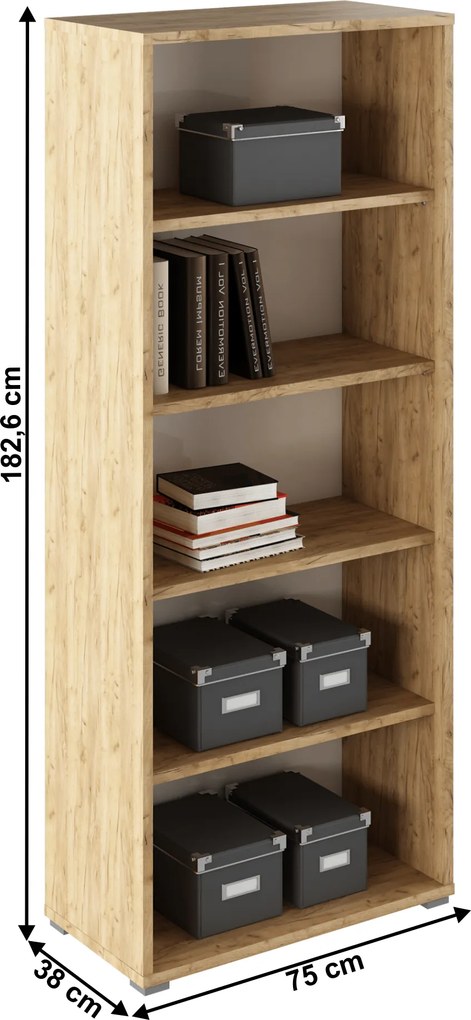 Nyitott állvány,artisan tölgy/fehér, RIOMA TYP 03