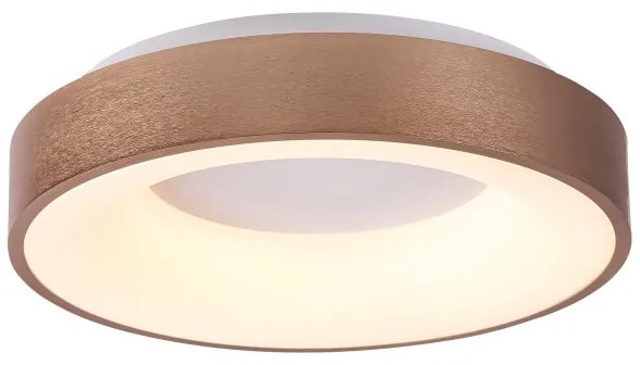 Rabalux 5052 - LED Mennyezeti lámpa CARMELA LED/30W/230V