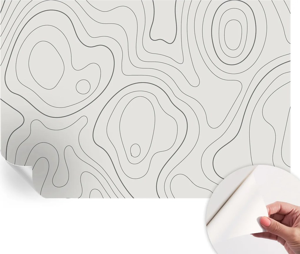 Fotótapéta Fali tapéta Hálószobába és Nappaliba Folyékony vonalak 152x104 cm