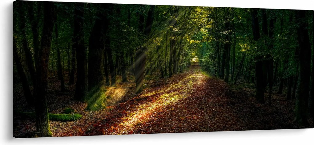 Erdei út képe (120x50 cm)