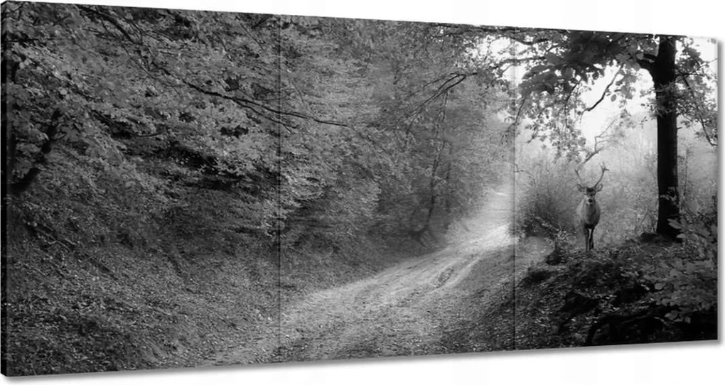 Vászonkép 180x90 Szarvas az erdőben