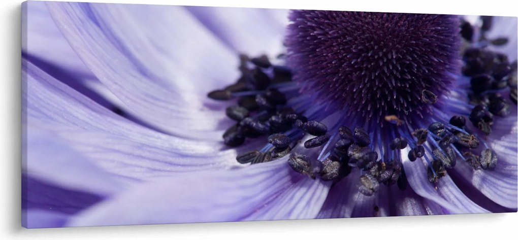 Kép - Ibolya virág (120x50 cm)
