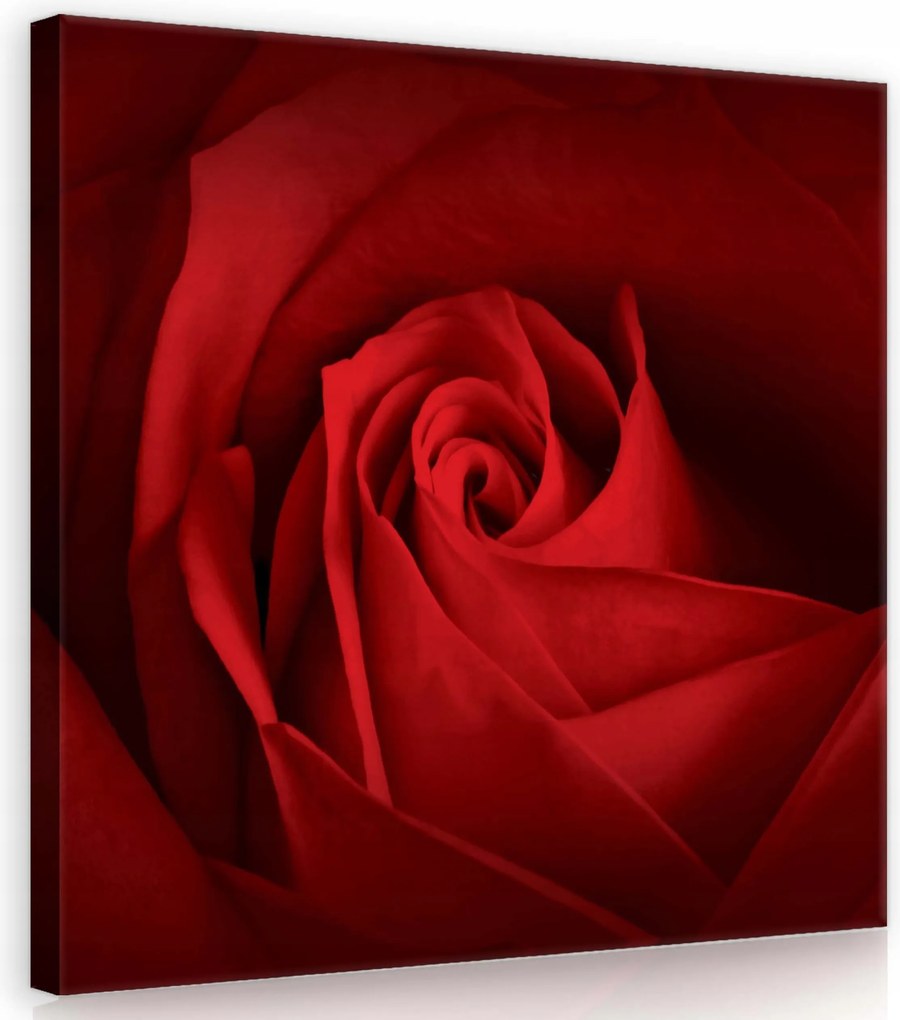 Vászonkép 80x80 Bíbor Rózsacsók Elegancia és szenvedély az otthonodban