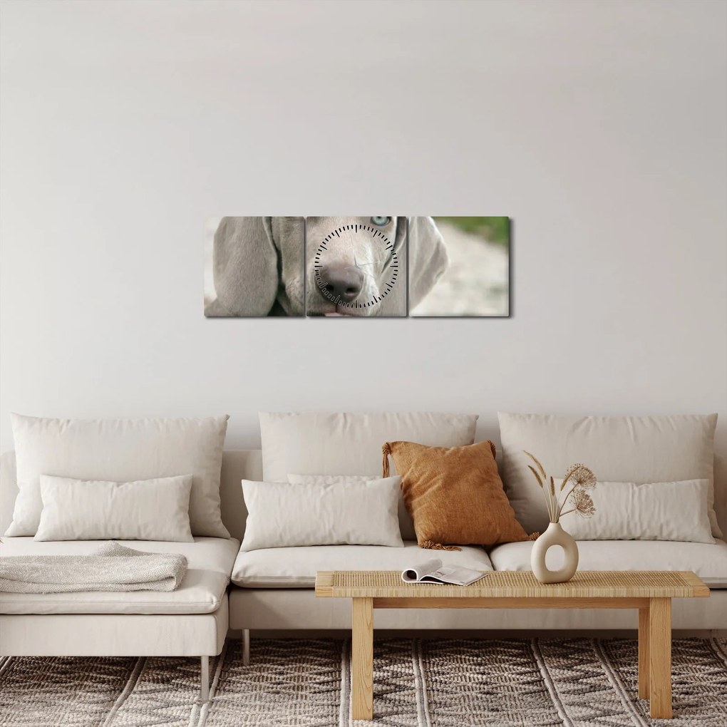 Kép - weimaraner kölyökkutya (órával) (90x30 cm)