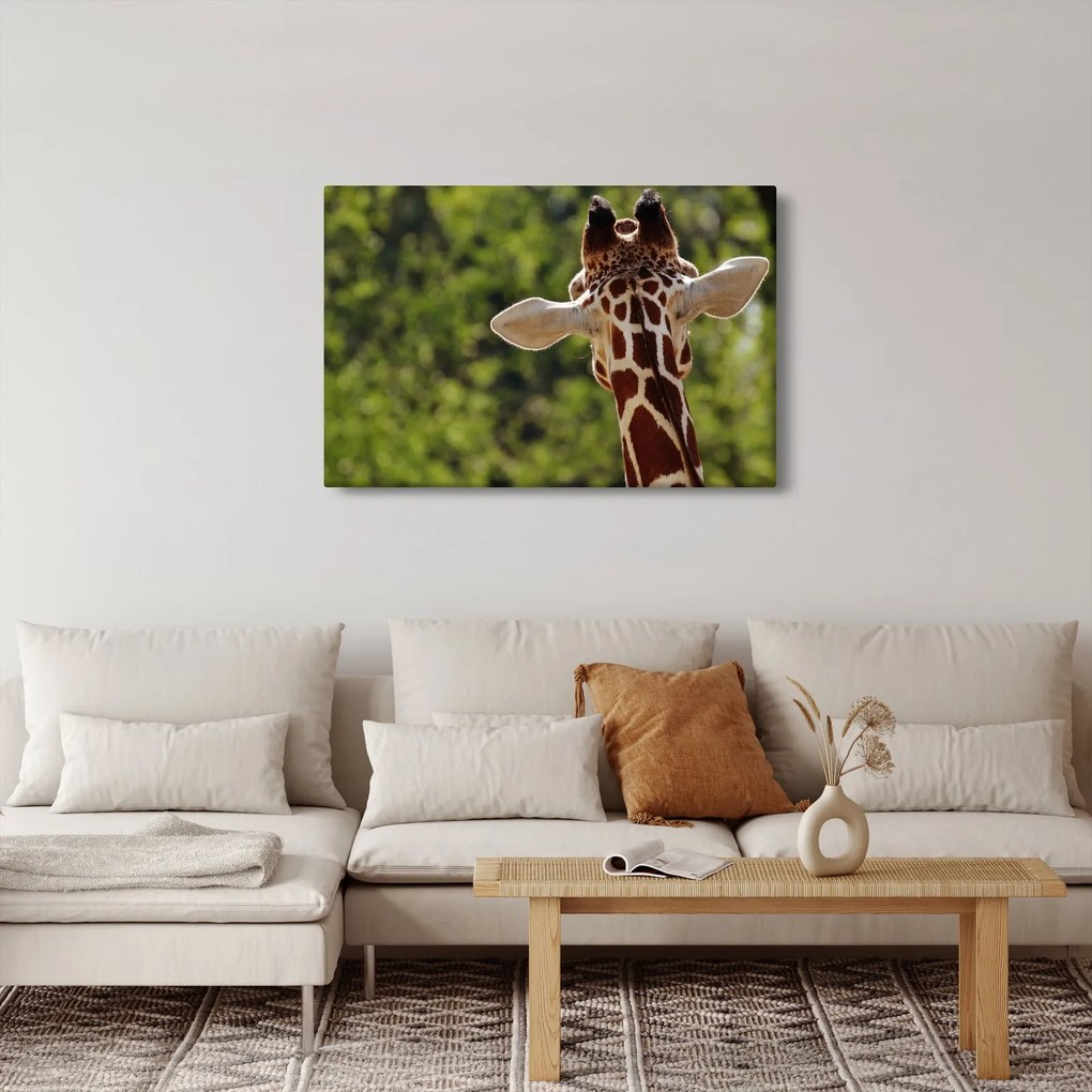 A zsiráf képe hátulról (90x60 cm)