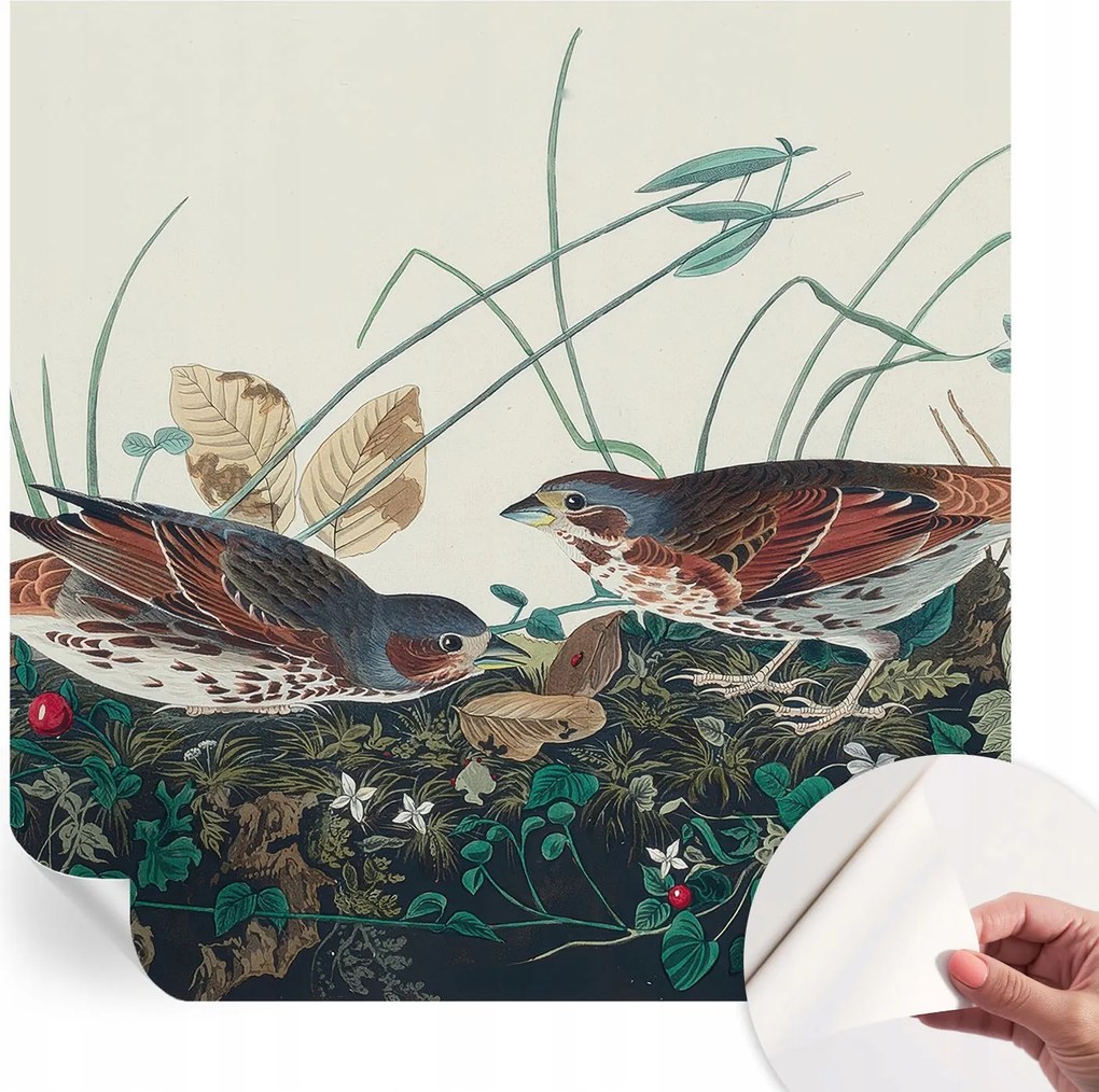 Öntapadós Dekoratív Fotótapéta Hálószobába A természet varázsa 250x250 cm