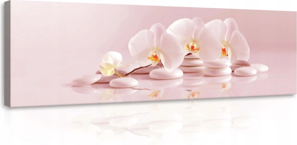 Vászonkép 145x45 Orchideák fehér virágok zen kövek nyugalom harmónia finomság