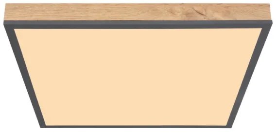 Globo 416080WD2 - LED Mennyezeti lámpa DORO LED/24W/230V