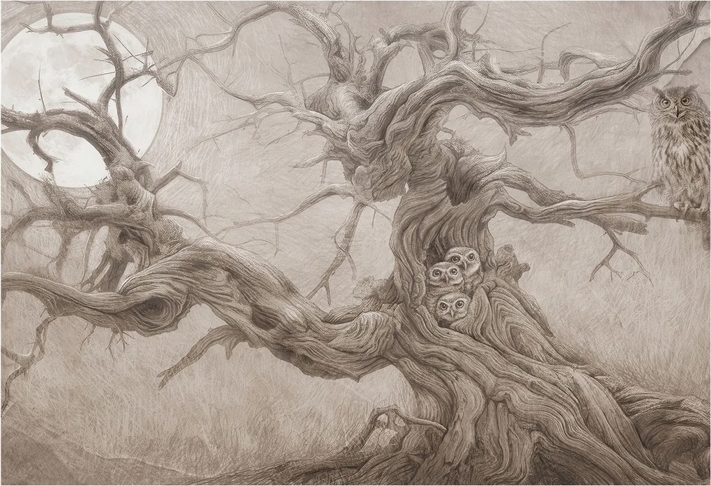 Fotótapéta Flizelina Nappali és Hálószoba Éjjeli madarak 152x104 Ragasztó