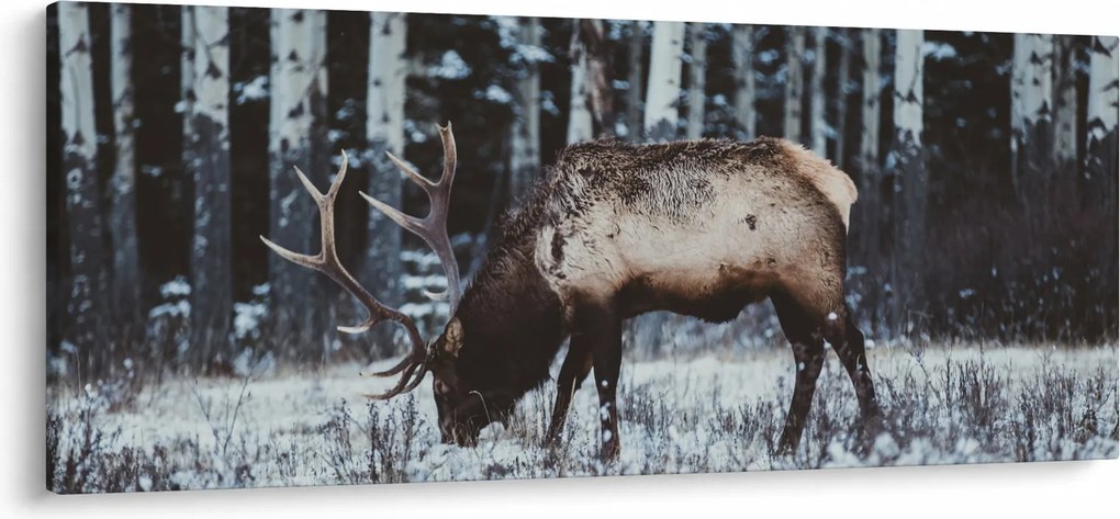 Kép - szarvas télen (120x50 cm)