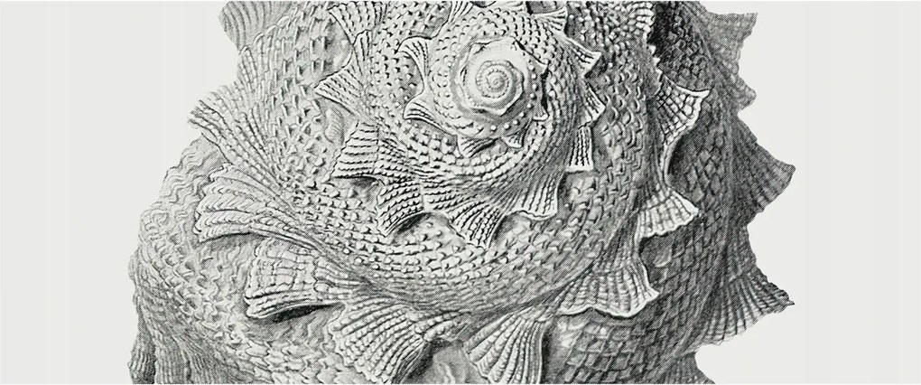 Divatos Flizelin tapéta 3D fali ragasztóval A természet művészete 250x104 Ragasztó