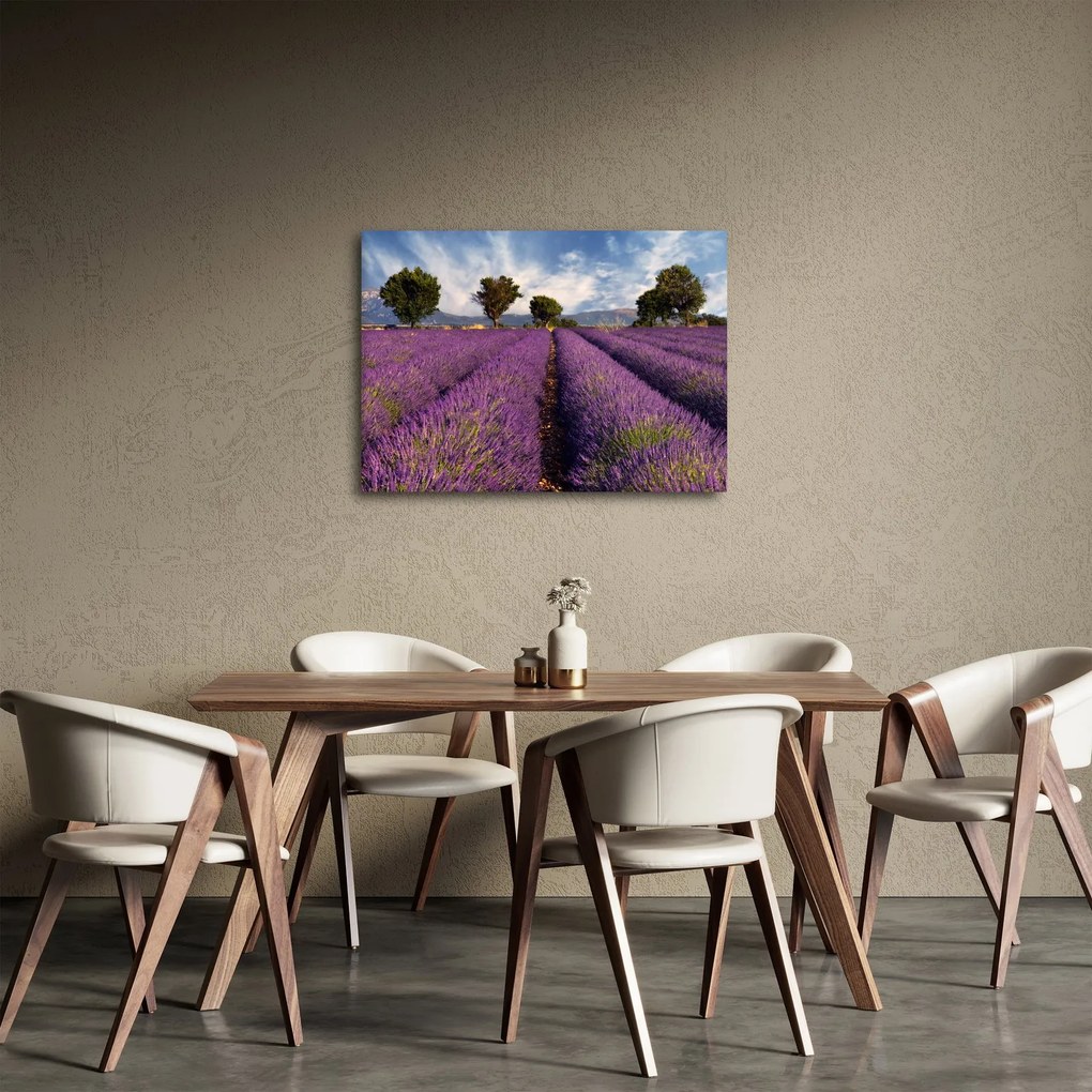 Kép - Levendula mező és hegyek (70x50 cm)