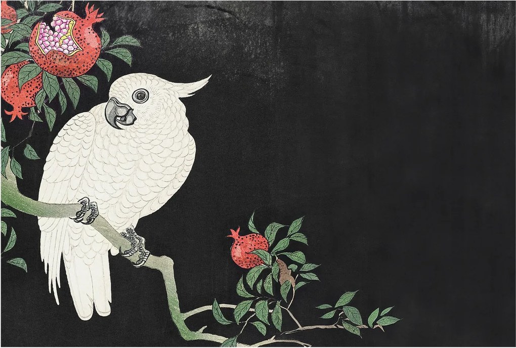 Fotótapéta Flizelin Dekoratív Hálószoba Papagáj gránát 104x70 Ragasztó