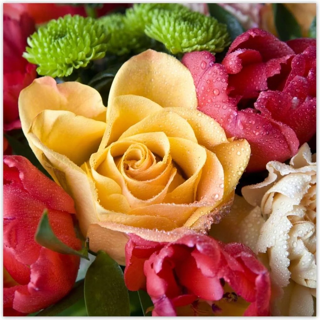 Poszterek 100x100 Tulipáncsokor rózsával