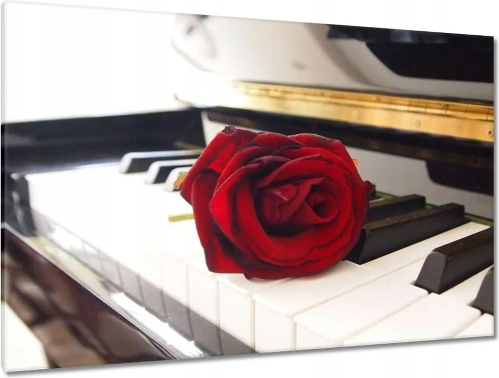 Festmények 120x80 Különböző a zongorán