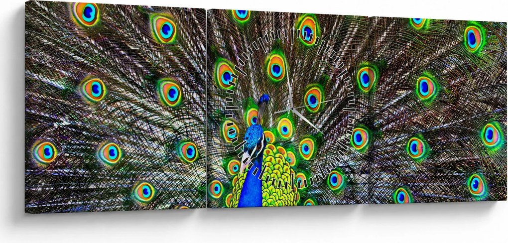 Kép - Páva (órával) (90x30 cm)