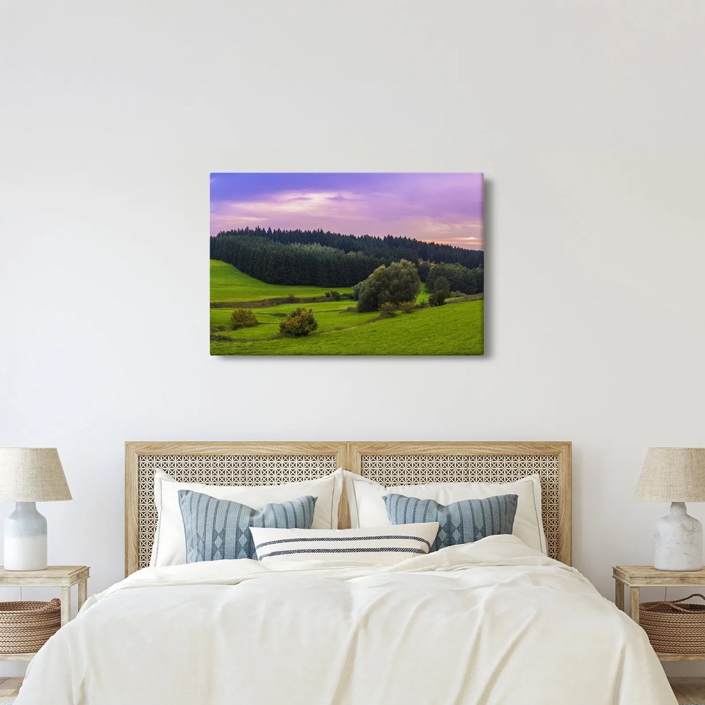 Rét képe (90x60 cm)