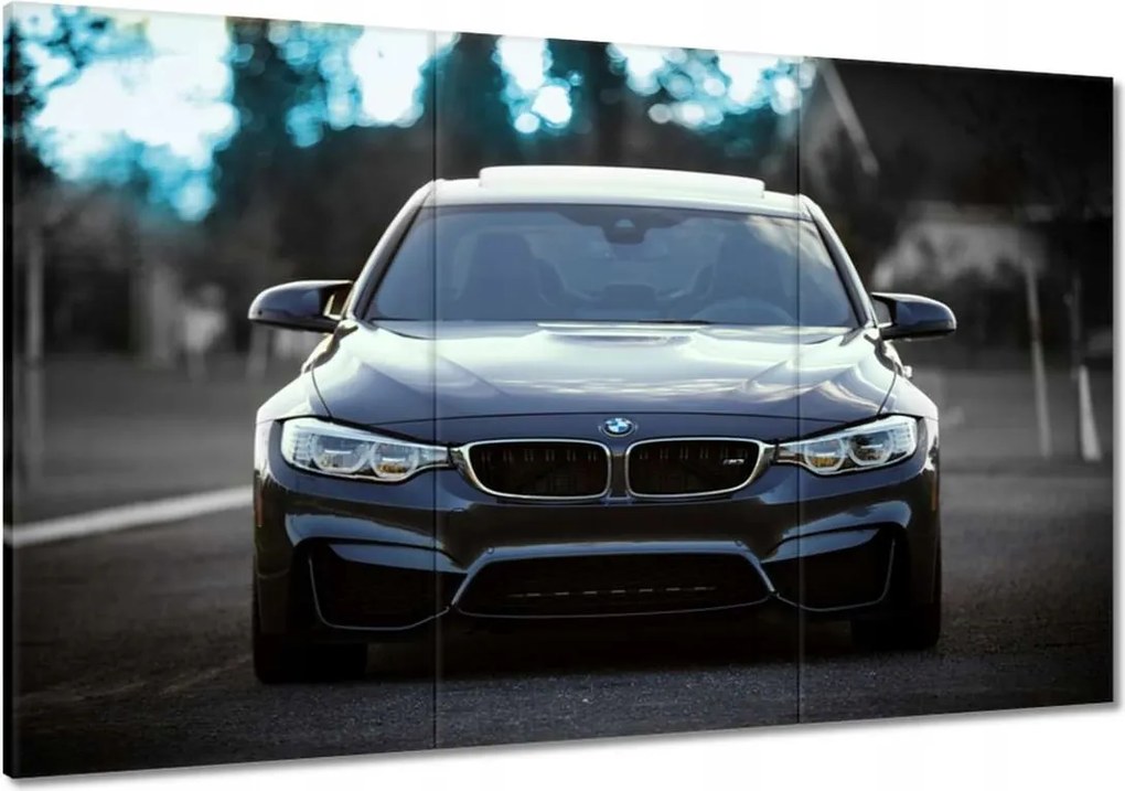 Képek 120x80 Bmw M3