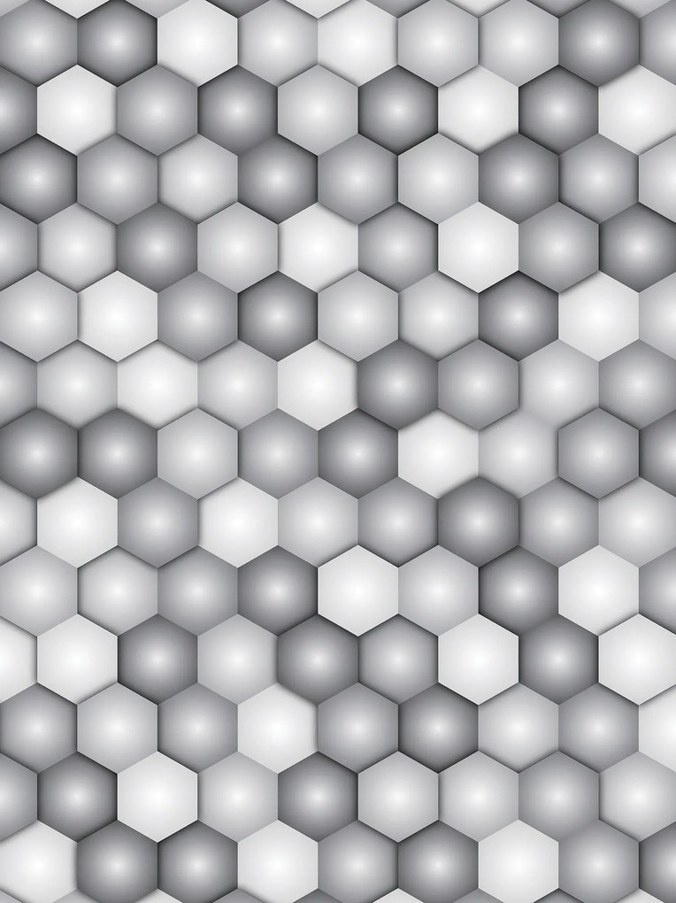 Fotótapéta Hatszögletű absztrakt minimalizmus szürke-fehér 184x254 +ragasztó