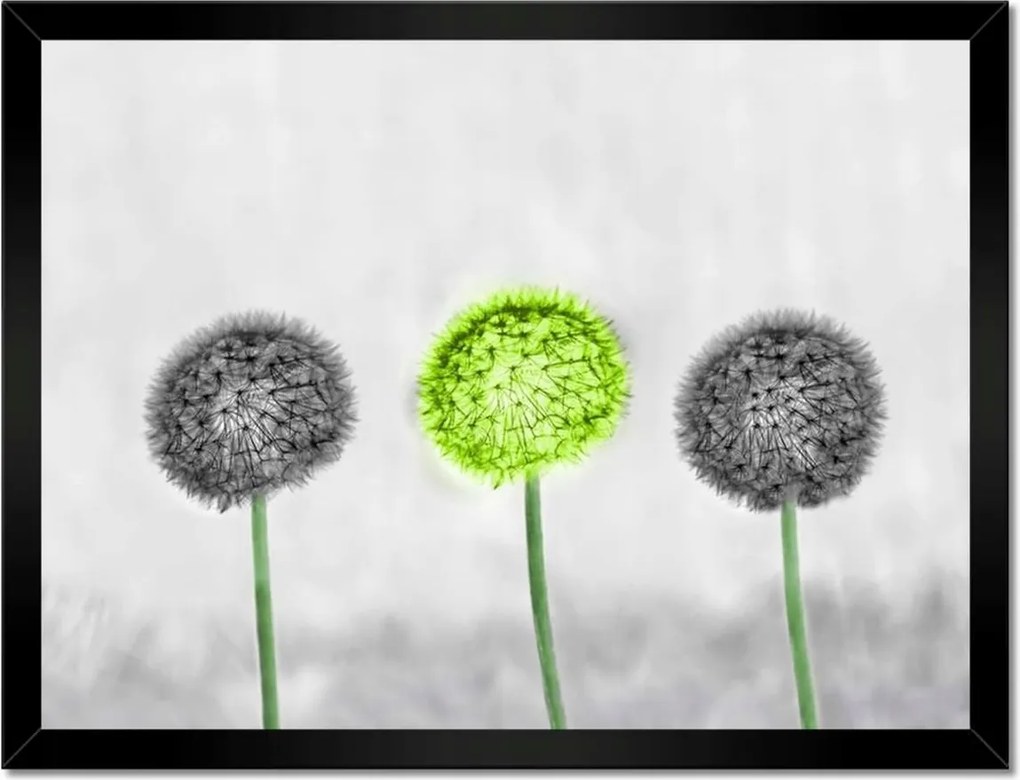 Poszterek keretben 40x30 Lime közép