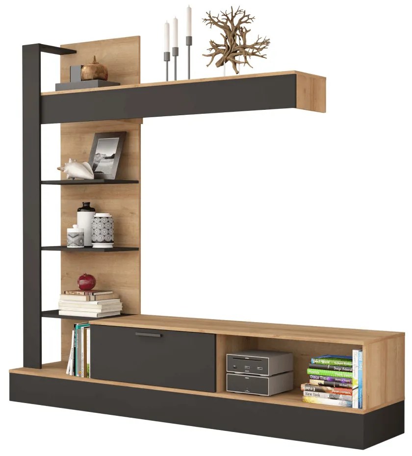 Nappali fal, riviera tölgy/fekete, GELUZA