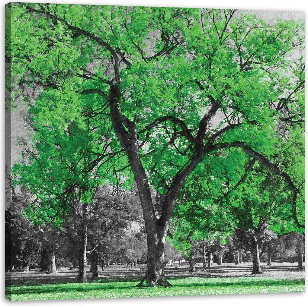 Vászonkép Fekete fák Zöld levelek Művészet 90X90 cm