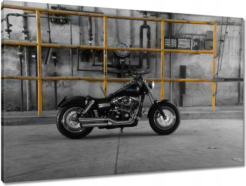 Festmények 90x60 Harley Davidson
