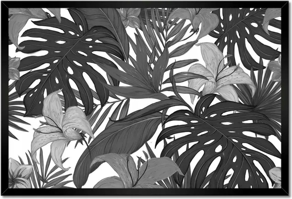 Monstera keretes poszterek 60x40