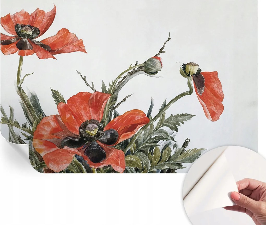 Öntapadós Dekoratív Fotótapéta Hálószobába Piros pipacsok 104x70 cm