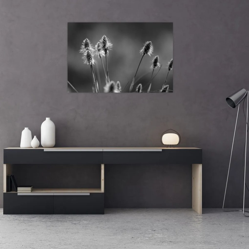 Kép - Bézs színű puha fű N⁰2 (90x60 cm)