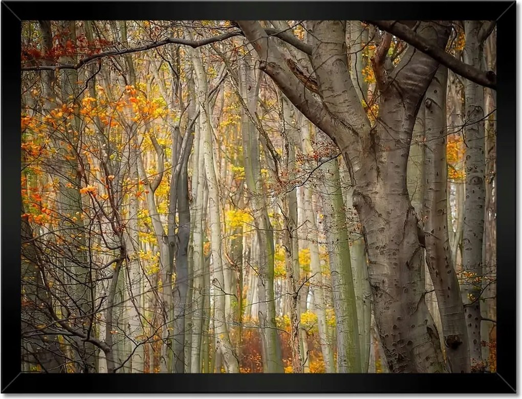 Poszterek keretben 40x30 Tájkép Látvány