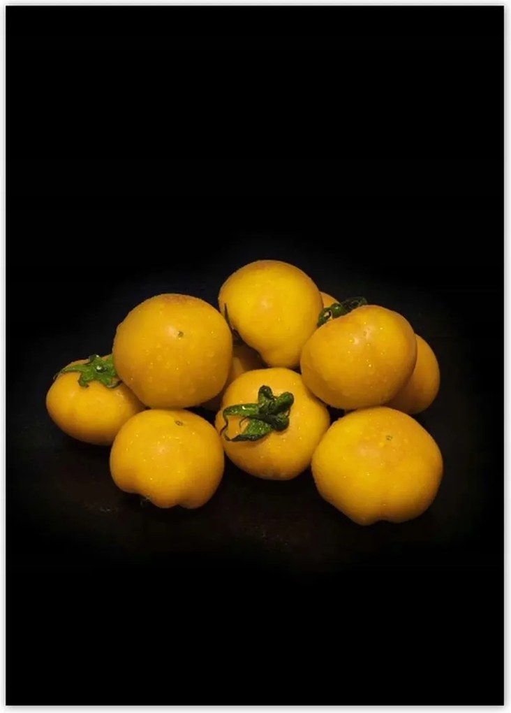 Poszterek 50x70 Sárga paradicsom